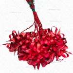 Estrella colgante crisma roja