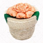 Dulcero flor
