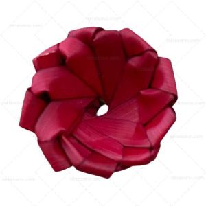 Flor Dalia