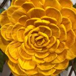 Flor Xochimaztl