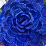 Flor Xochimaztl