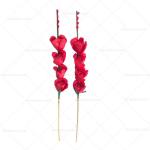 Docena Flor Disy