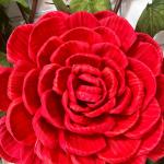 Flor Xochimaztl