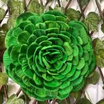 Flor Xochimaztl