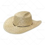 Sombrero Joy