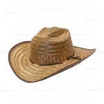 Sombrero Joy