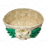 Tortillero Dalia